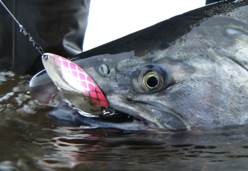 4 Best Lures For Steelhead - A Pro Guides Recommendations