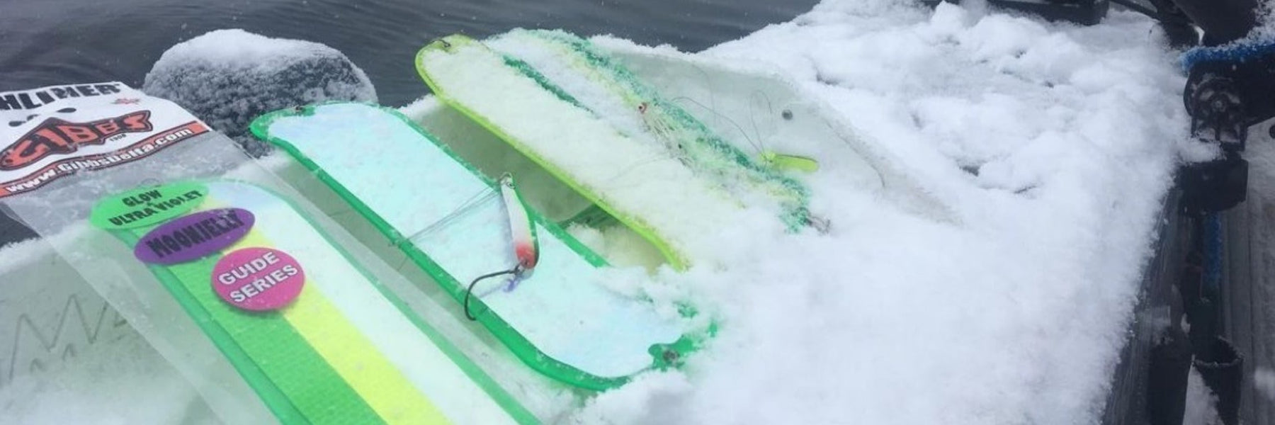 Winter Chinook Salmon Fishing Along British Columbia's Coast: Strategies, Bait Selection, and Optimal Conditions