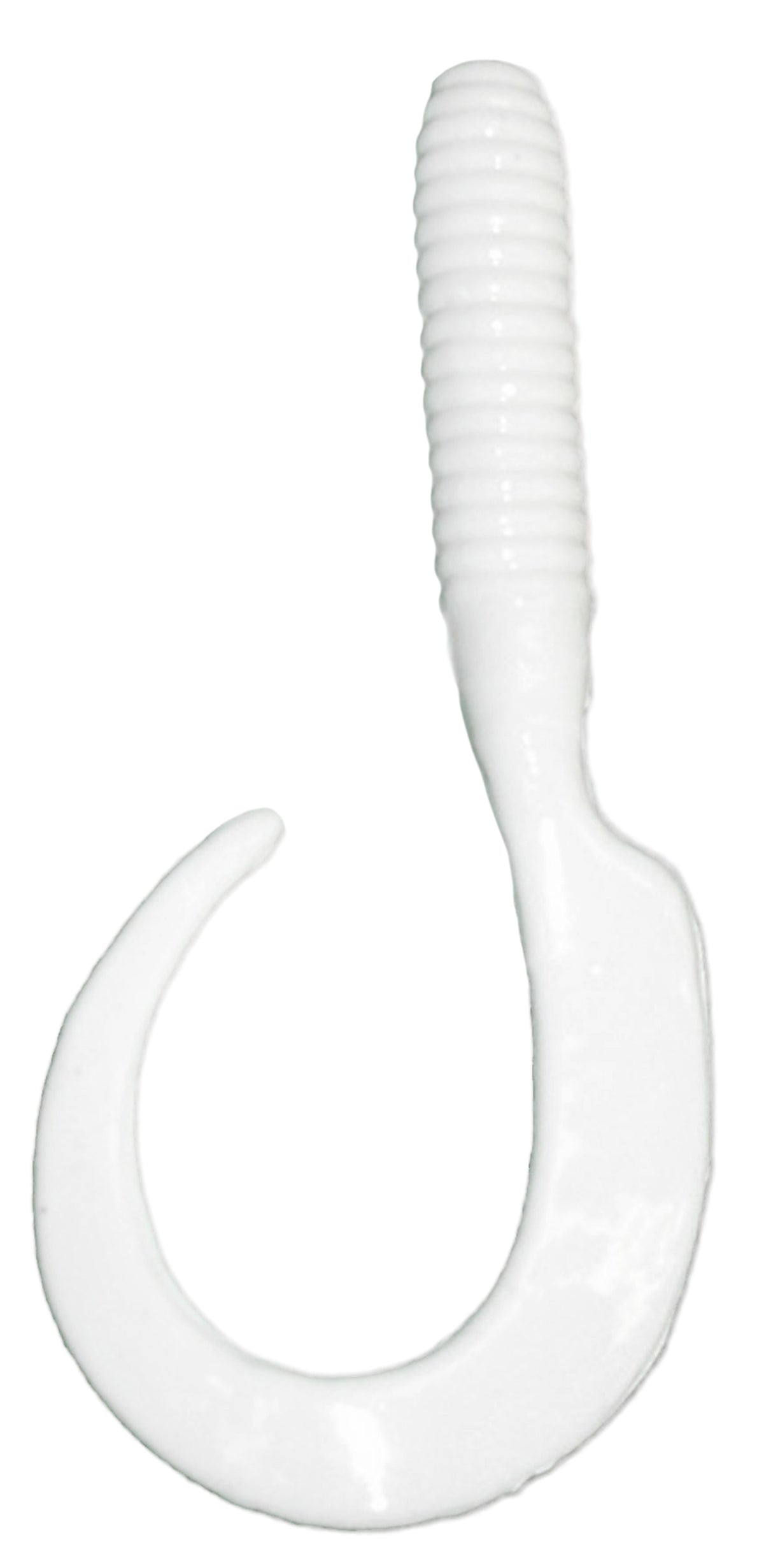 Curly Tail 8